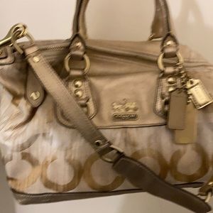 Gold Coach additional pictures and measurements